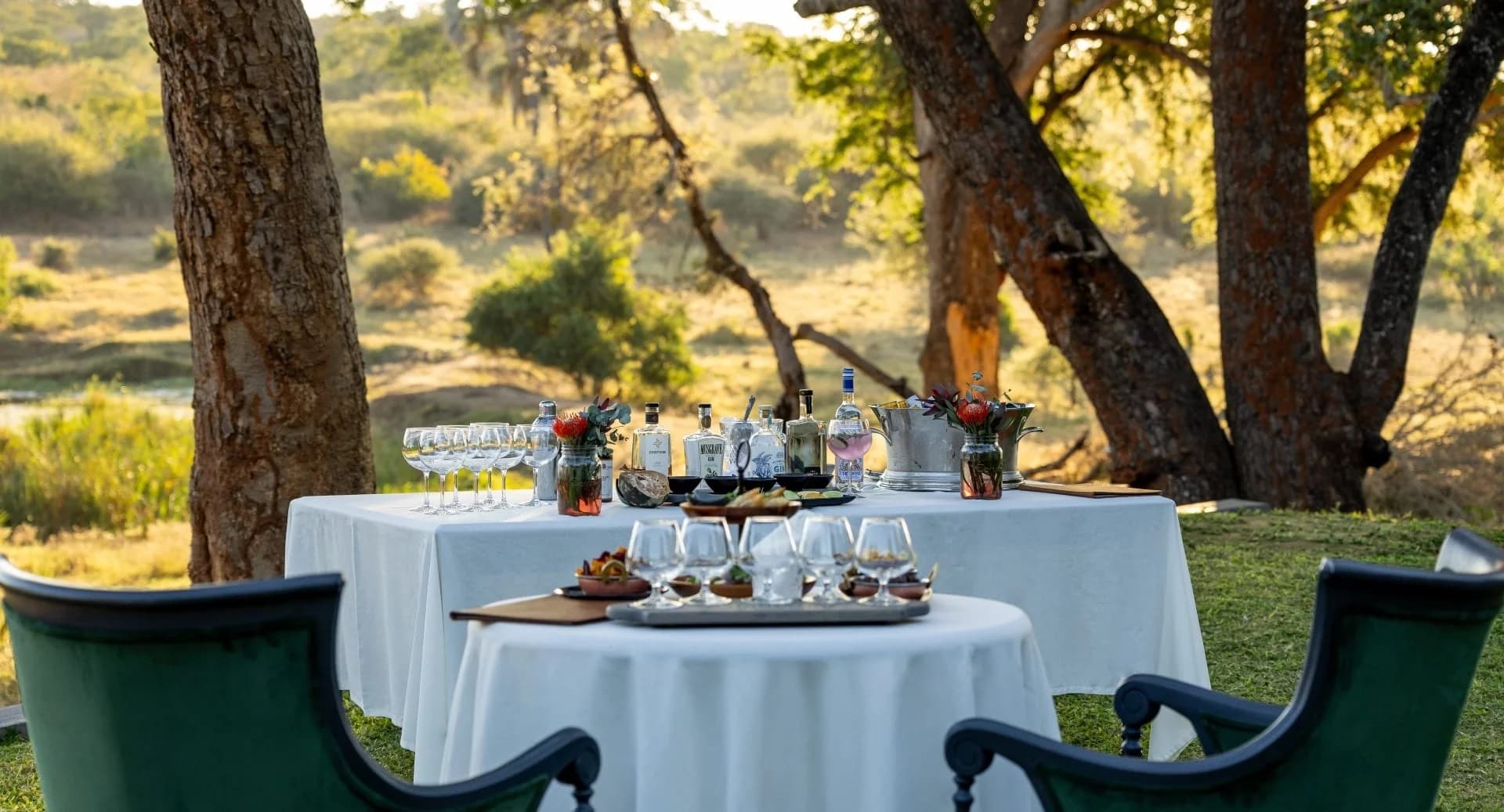 Tailor-made Safari Journey