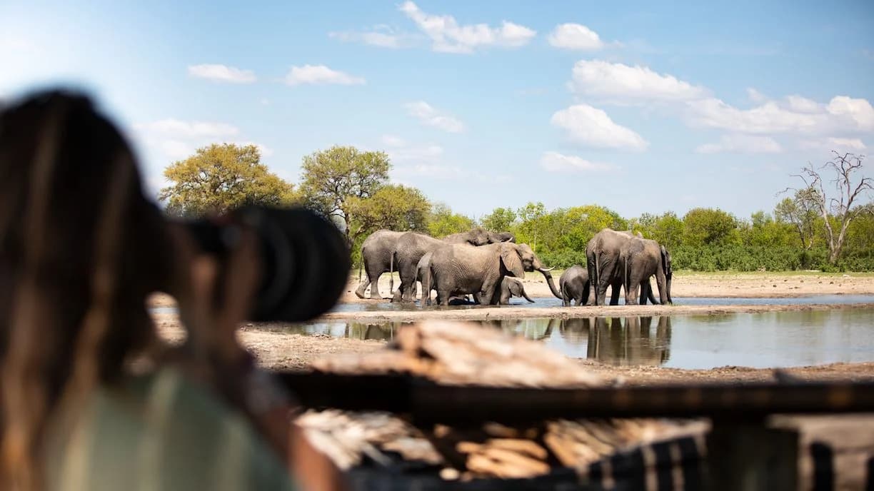 Waterhole Photographic Hides