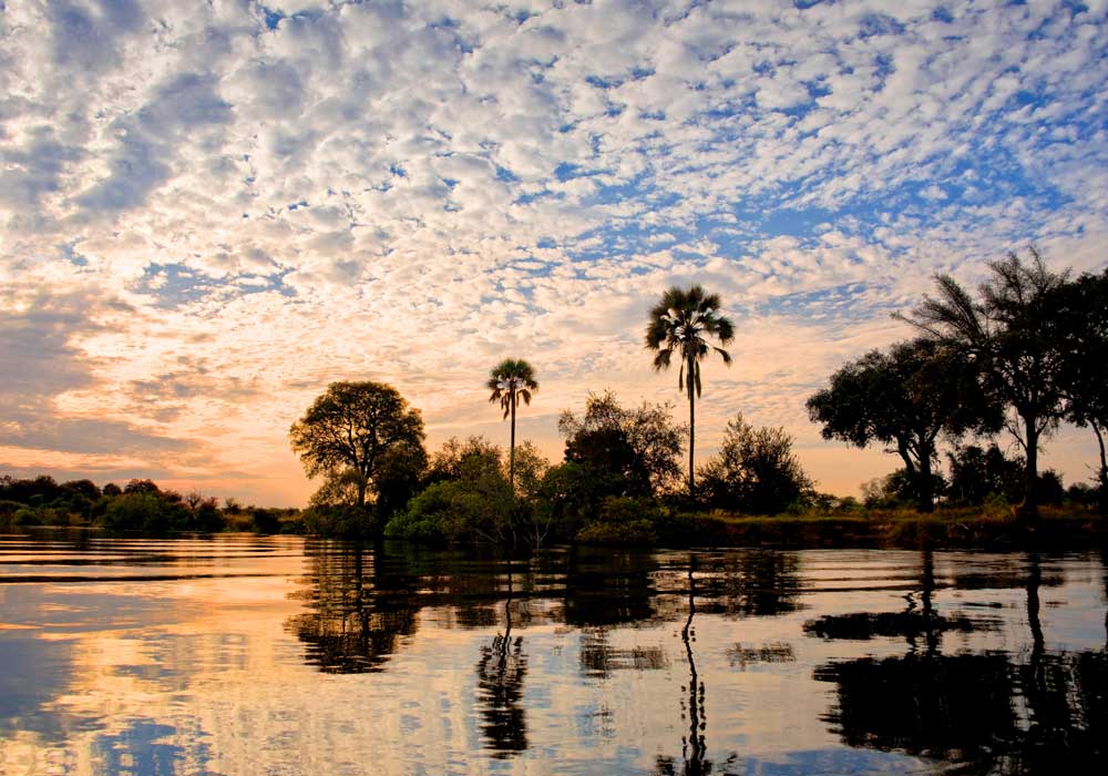 Zambezi National Park safari