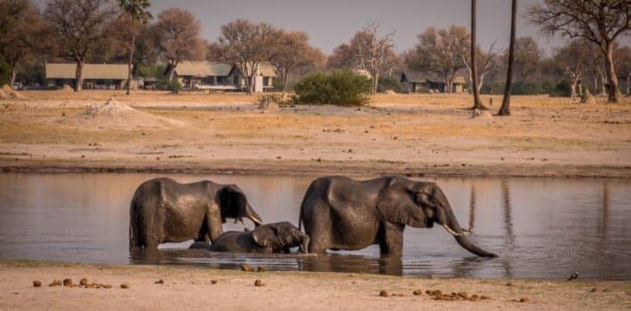 Linkwasha Camp