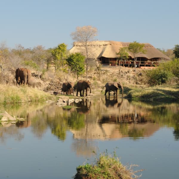 The Wallow Lodge