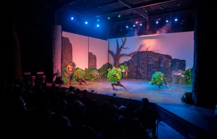 Simunye: We Are One — Theatre Show