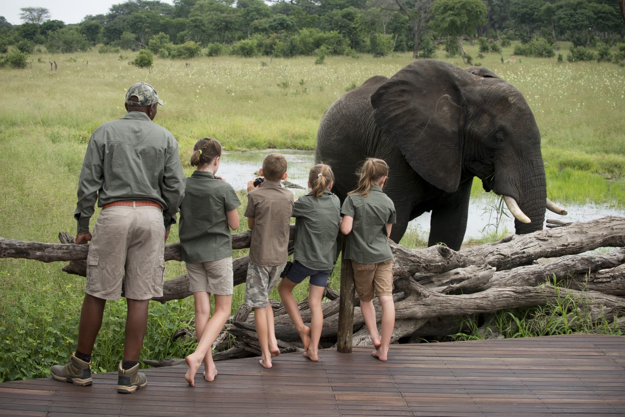 Falls and Hwange