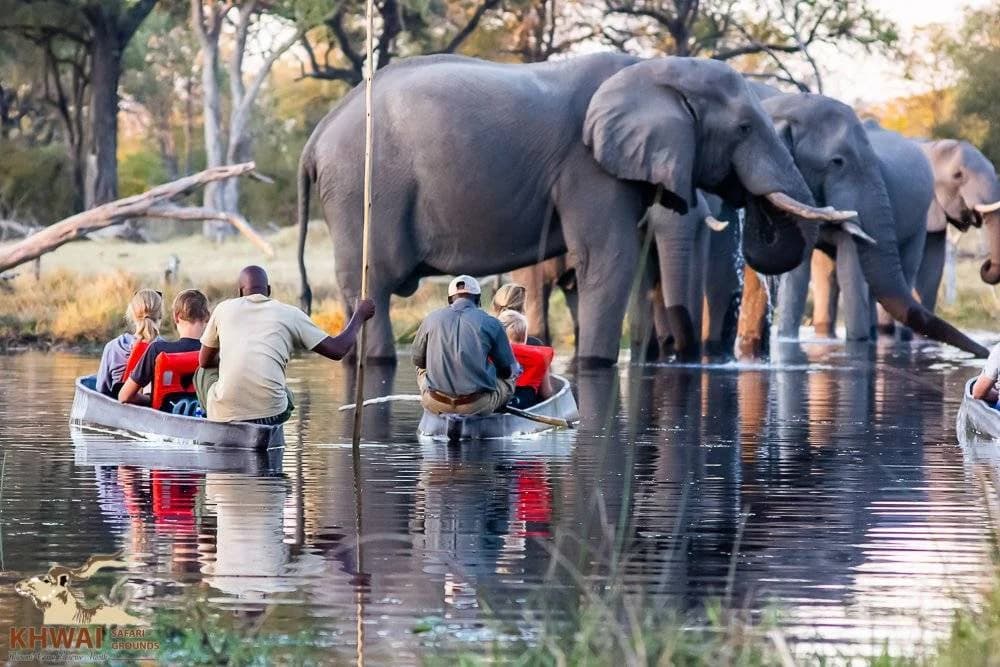Desert, Delta & River to Vic Falls