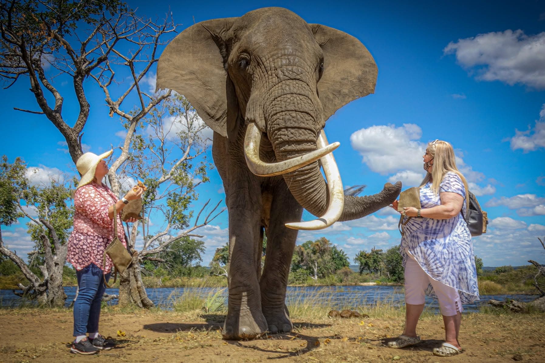 Livingstone Day Trip: Victoria Falls & Elephant Cafe